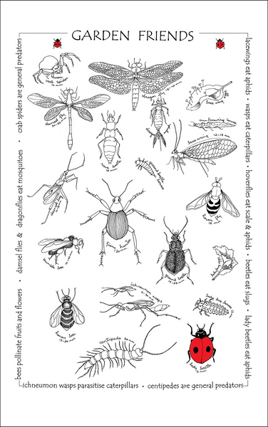 Beneficial garden insects screen printed tea towel, 100% cotton kitchen towel